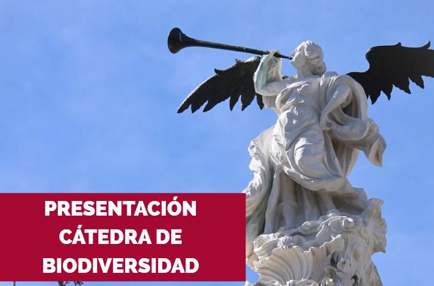 cartel