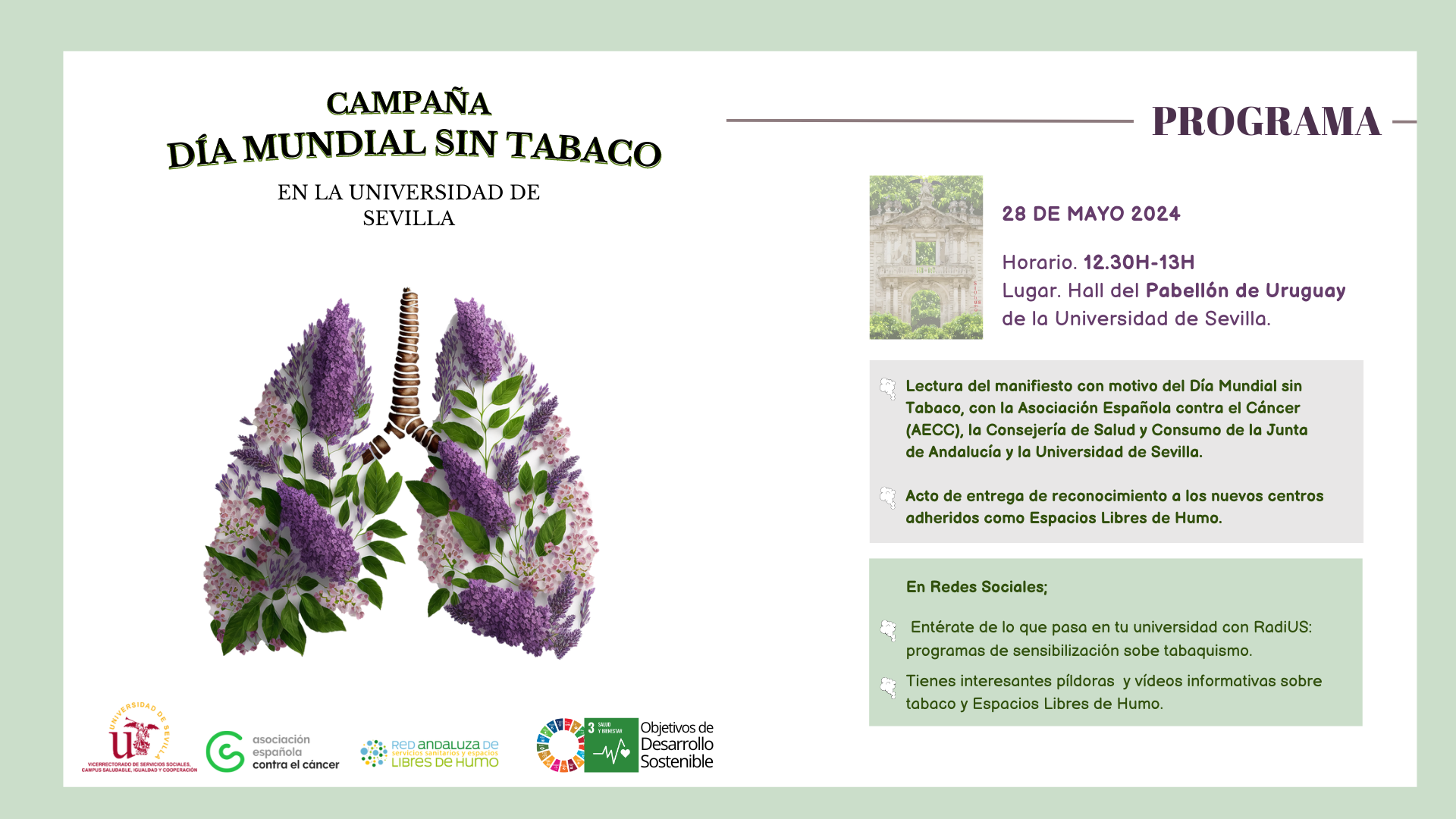 prograama 