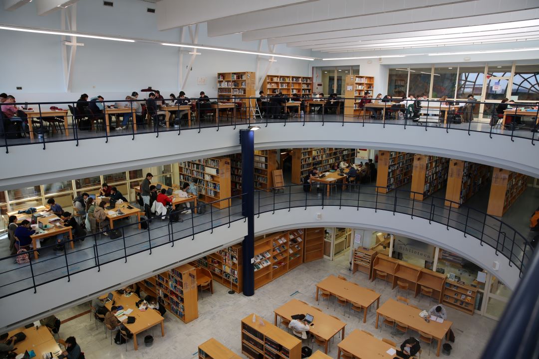 alumnos estudian en una biblioteca