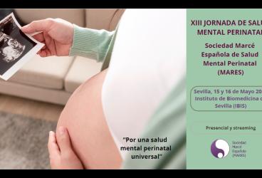 XIII Jornada de Salud Mental Perinatal