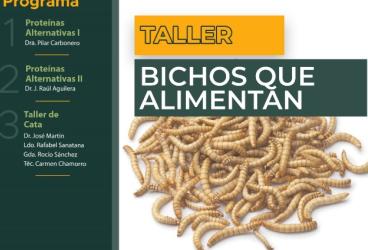 Bichos que alimentan. Proteínas alternativas y sus implicaciones en la...