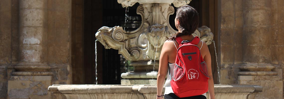 Universidad de Sevilla Internacional