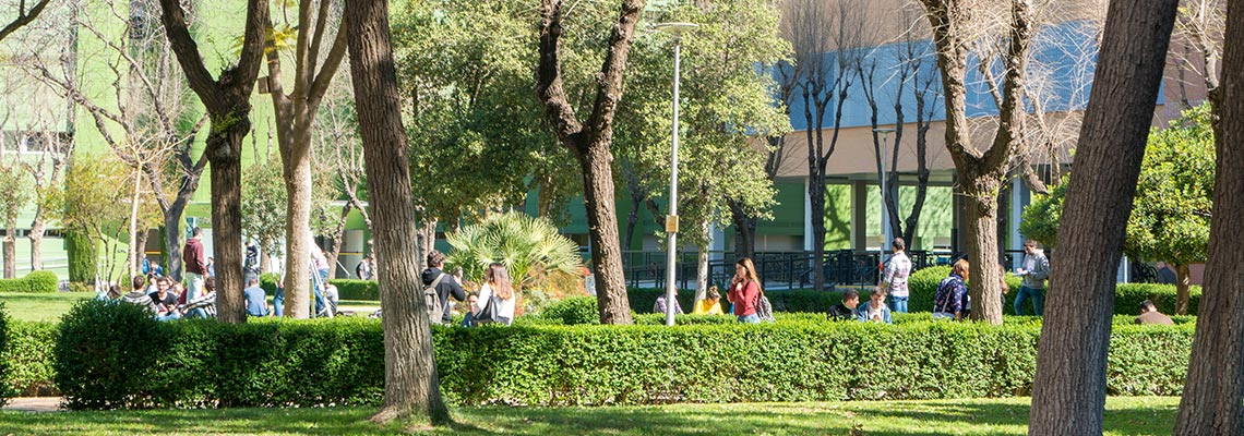 Campus Universidad de Sevilla