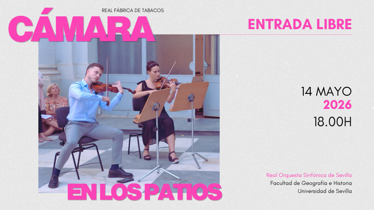Cámara en los patios