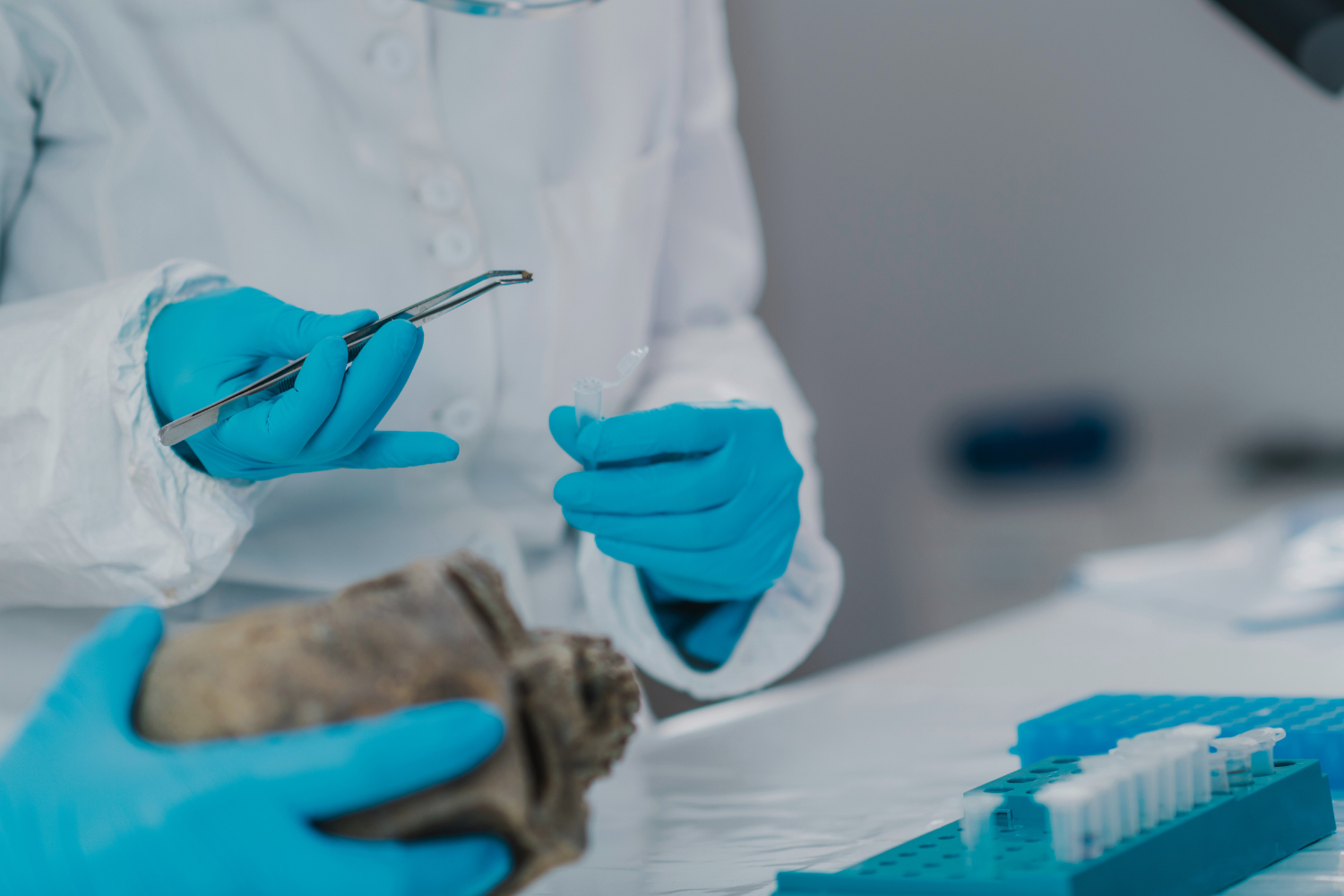 Seminario en Bioarqueología. Perspectivas multi-analíticas en el estudio de los restos óseos humanos: últimos avances