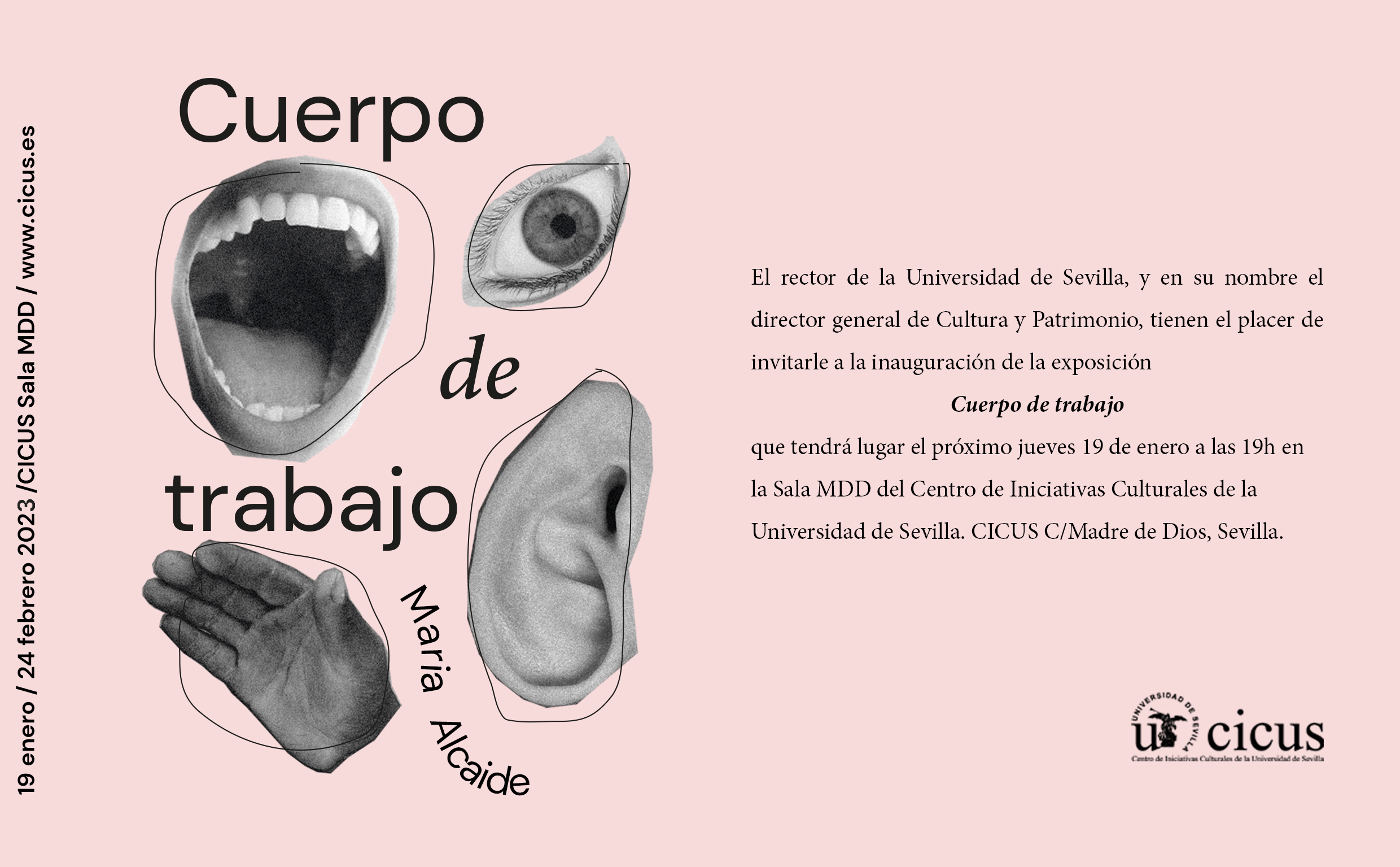 Inauguración de la exposición 'Cuerpo de trabajo'