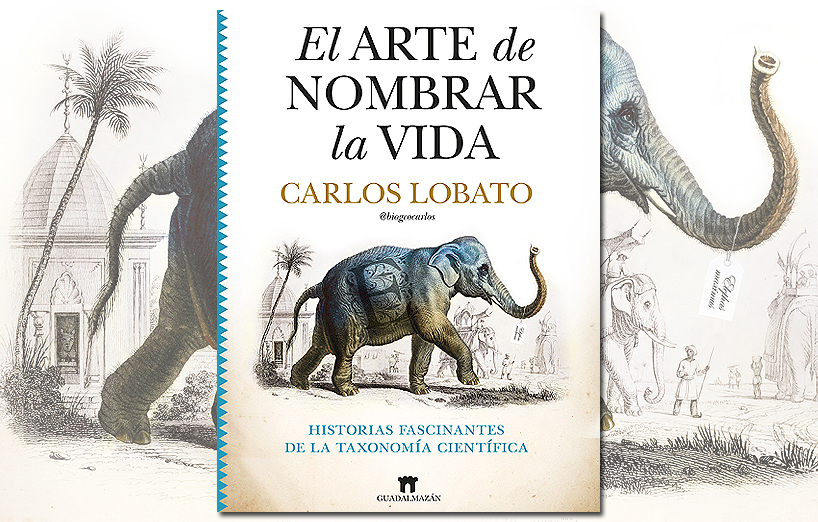 La Ciencia lee: El arte de nombrar la vida