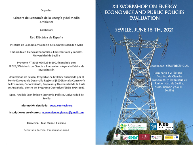 XII Workshop on Energy Economics and Public Policies Evaluation