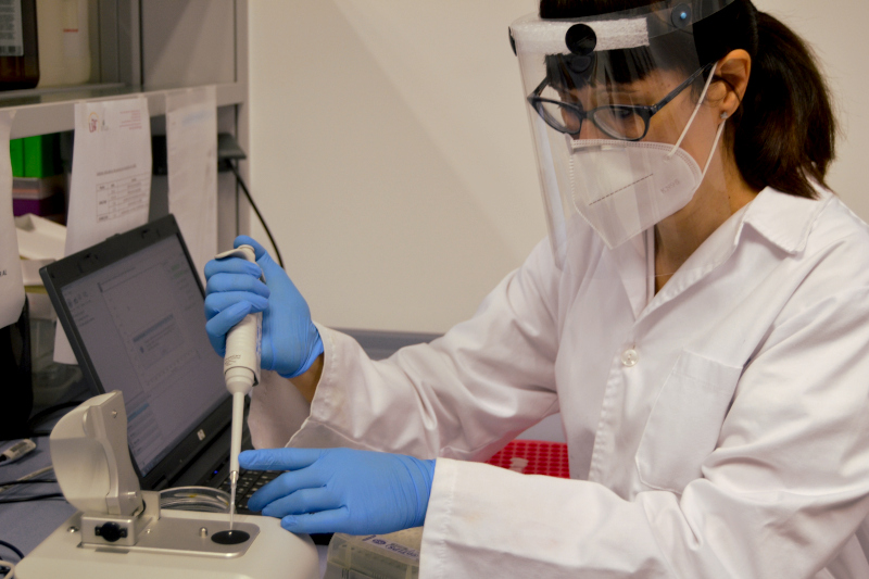 investigacion