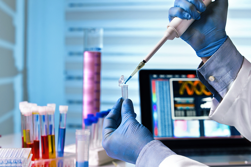 Laboratorio