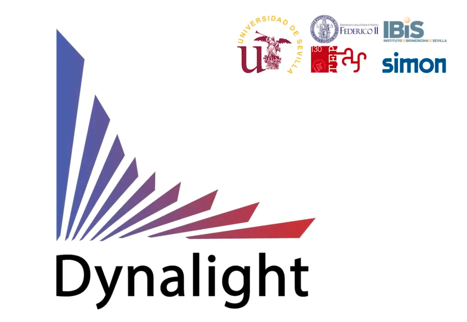 Dynalight