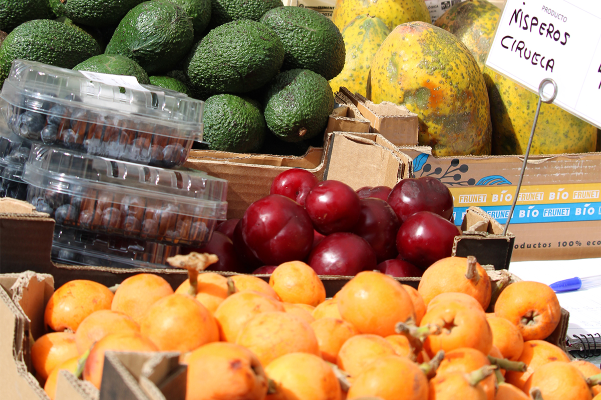 Fruta y verdura ecológica