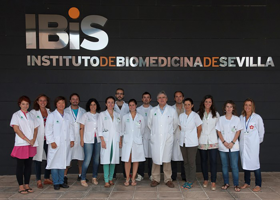 Miembros del laboratorio de José López Barneo en el IBiS