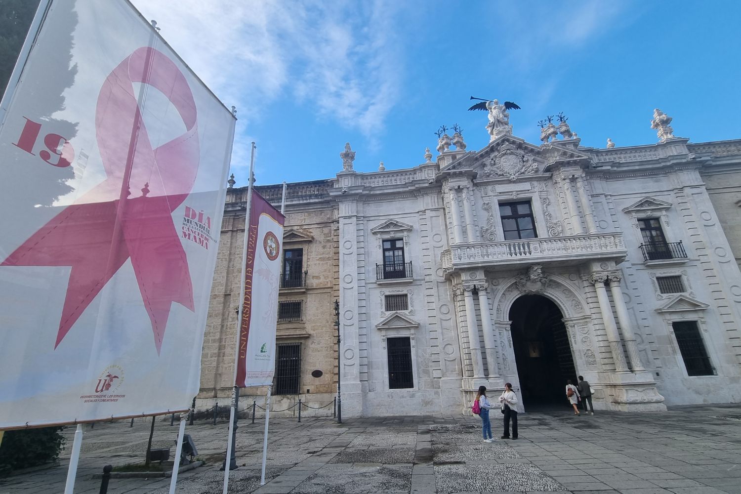 Fachada del rectorado con el lazo rosa