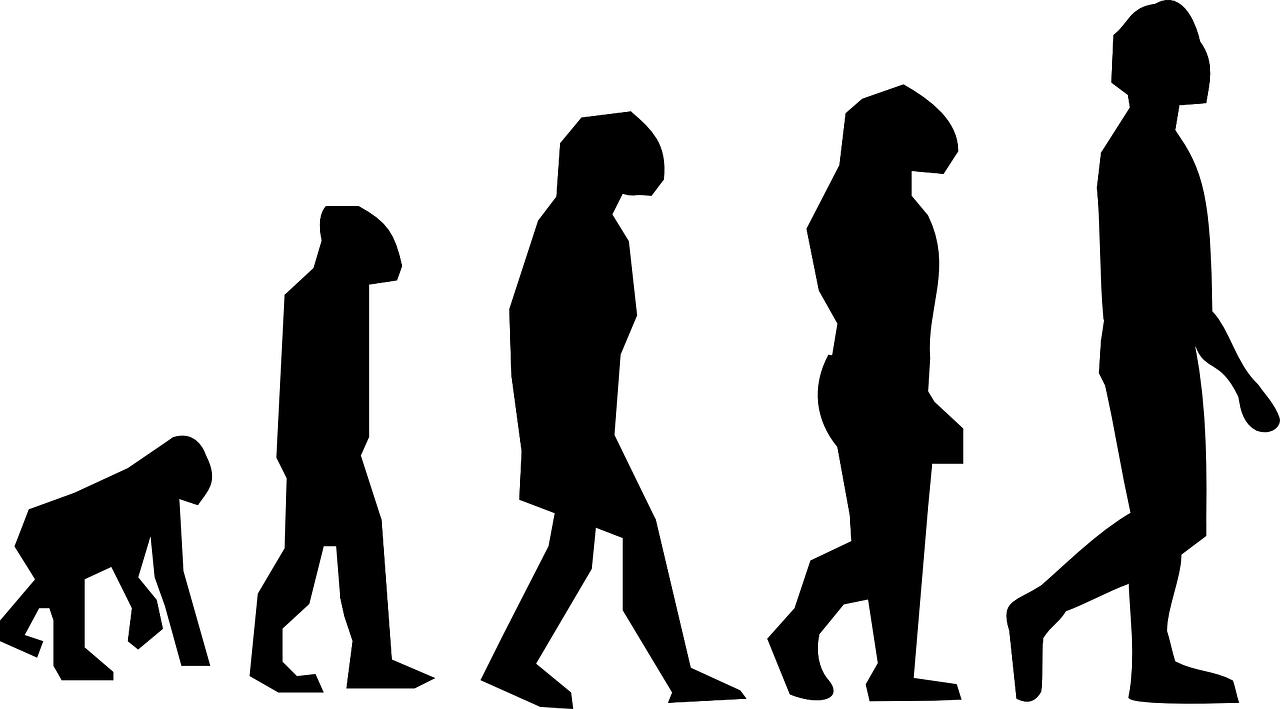 Evolución