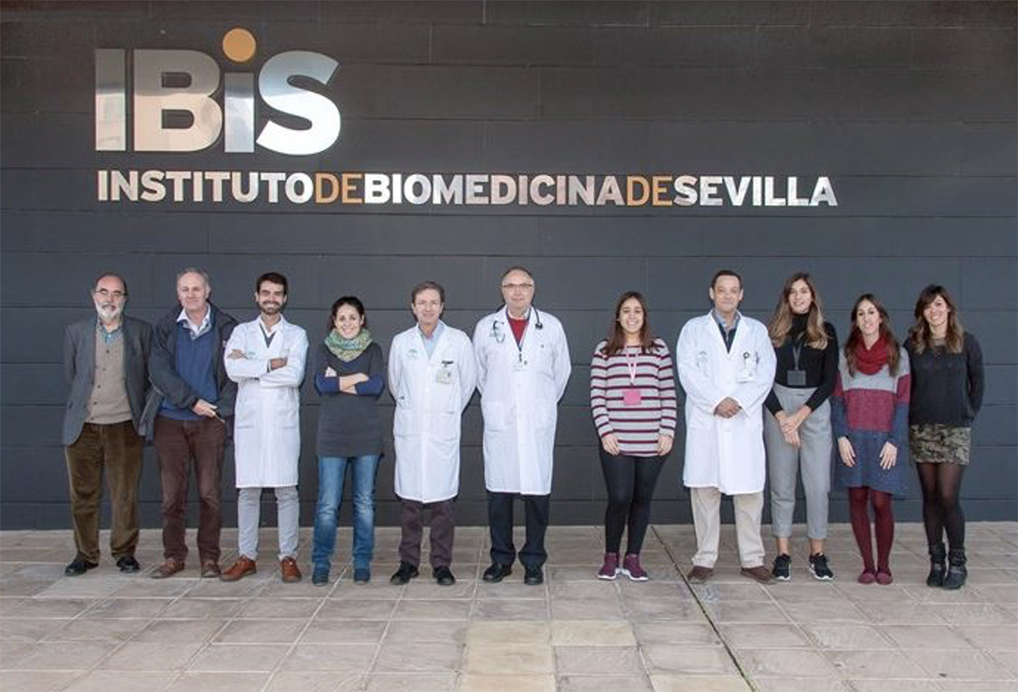 Equipo IBIS