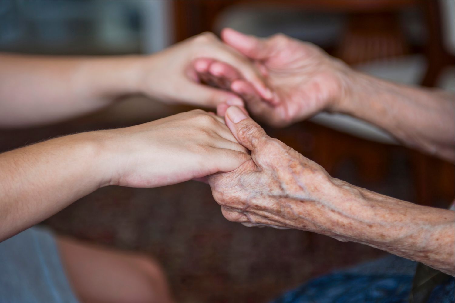 Imagen de recurso para el programa de ocio intergeneracional