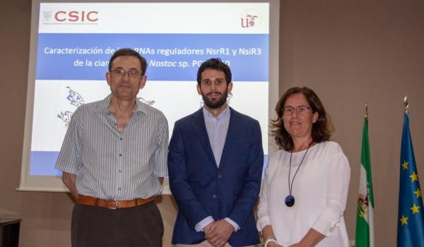 Imagen de la Noticia