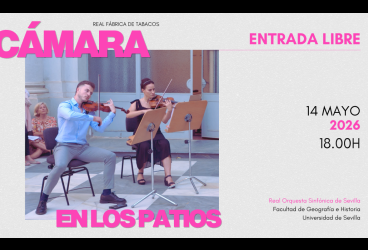 Cámara en los patios