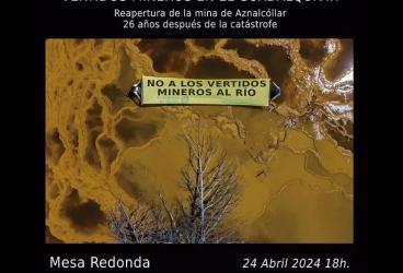 Mesa redonda 'Vertidos mineros en el Guadalquivir'