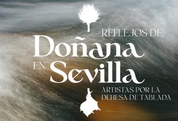 Exposición 'Reflejos de Doñana en Sevilla'