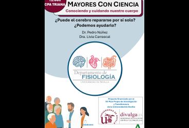 Mayores con Ciencia: ¿Puede repararse el cerebro por sí solo?