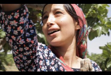 Palmarés del FCAT 2023 · Sous les figues (Entre las higueras)